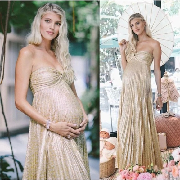 NWOT Alexis Joya Pleated Strapless Metallic Gold Lame Maxi Dress RARE Size XS - Picture 10 of 10